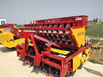 Σκόρδο Σπαρτική μηχανή αυτόματη μηχανή